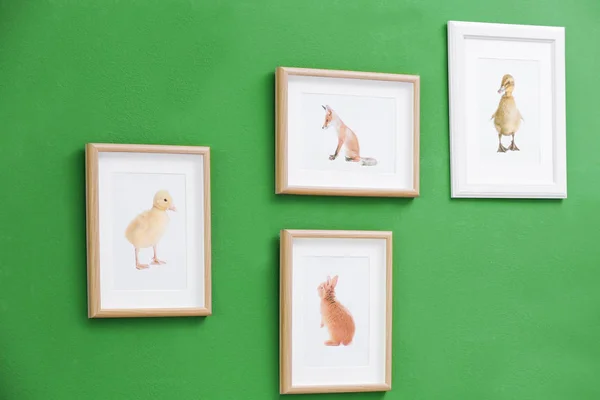 Pictures of different baby animals on wall