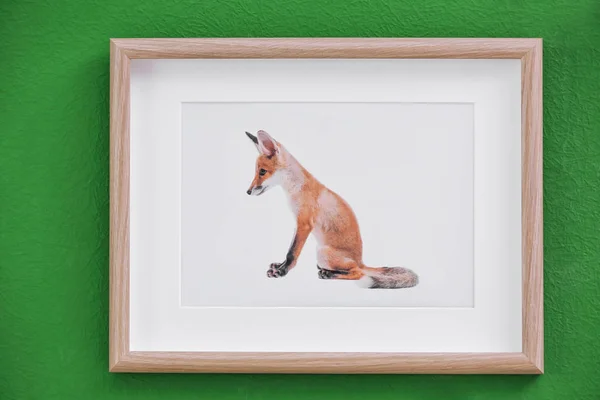 Picture of cute fox on color wall — Stock Photo, Image