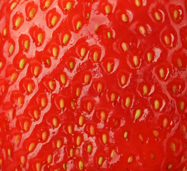 Čerstvé zralé jahody — Stock fotografie