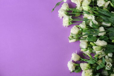 güzel eustoma çiçek 