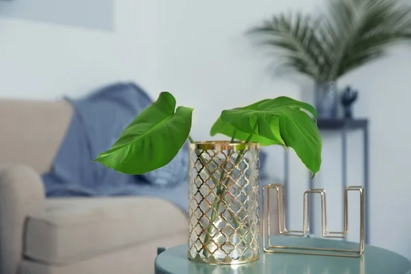 Tropische Blätter in Glasvase — Stockfoto