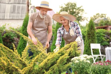 Bahçede çalışan yaşlı çift