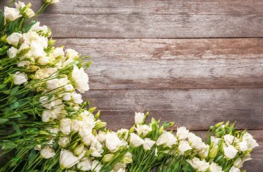 güzel eustoma çiçek  