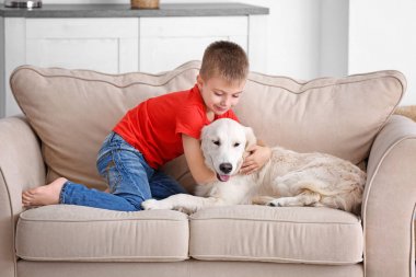 köpek olan küçük çocuk