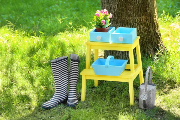 Composición con hermosas flores, botas de goma y regadera en el patio trasero —  Fotos de Stock