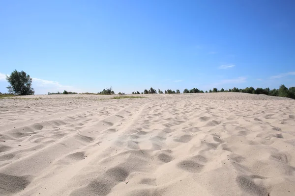 Yaz günü plajda kum