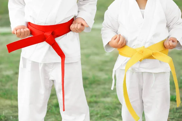 Niños pequeños en karategi —  Fotos de Stock