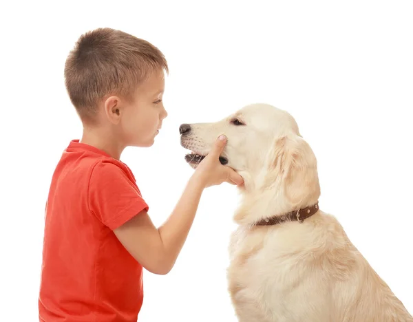 Kleine jongen met hond — Stockfoto