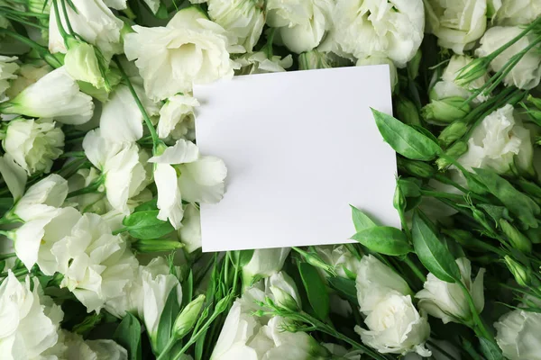 Όμορφη eustoma λουλούδια και φύλλο χαρτιού, κοντινό πλάνο — Φωτογραφία Αρχείου