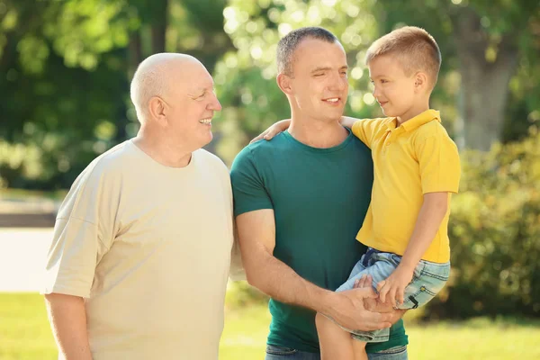 Мальчик с папой и дедушкой в парке — стоковое фото
