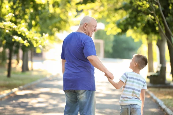 Счастливый старший мужчина с внуком в парке — стоковое фото