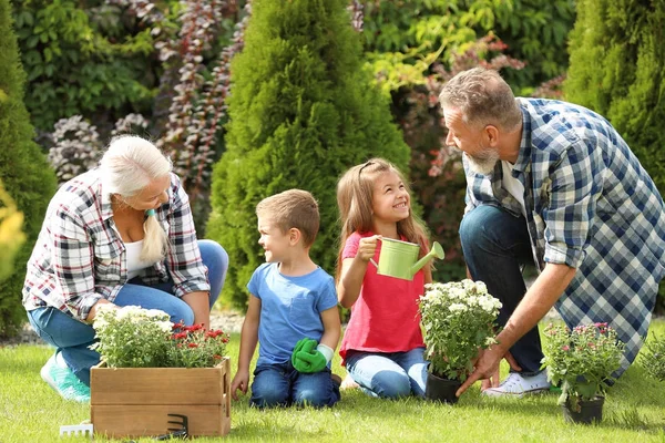 Bejaarde echtpaar met kleinkinderen werken in tuin — Stockfoto