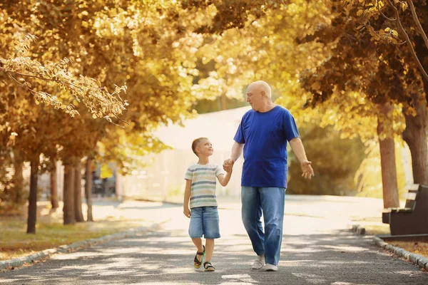Gelukkig senior man met kleinzoon in park — Stockfoto