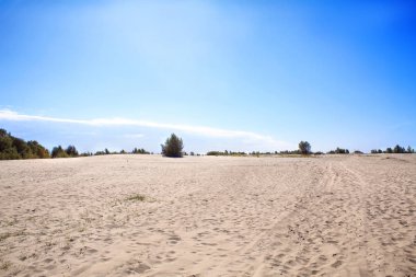 Yaz günü plajda kum