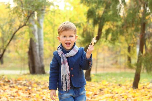 Carino bambino nel parco autunnale — Foto Stock