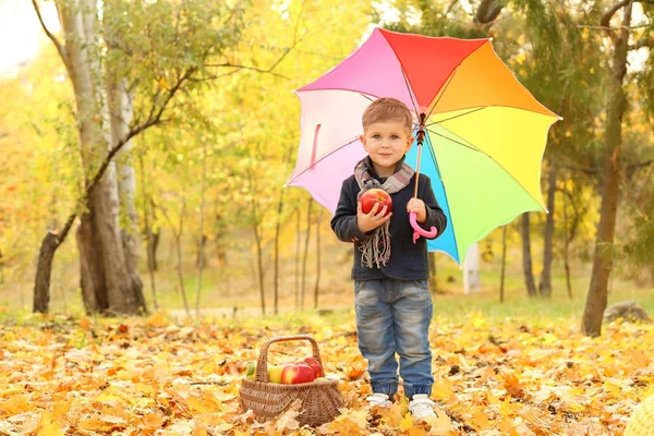 Anak kecil yang lucu dengan payung berwarna-warni dan keranjang penuh apel di taman musim gugur — Stok Foto