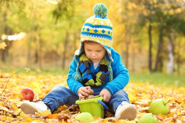 Aranyos kis gyerek játék: őszi parkban — Stock Fotó