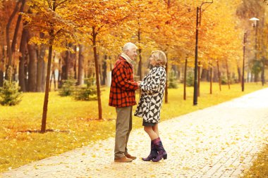 Park yerinde yaşlı bir çift 