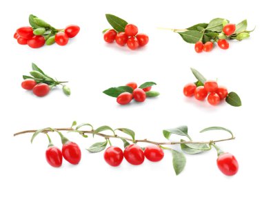 Beyaz arka plan üzerinde goji meyveleri ile kolaj