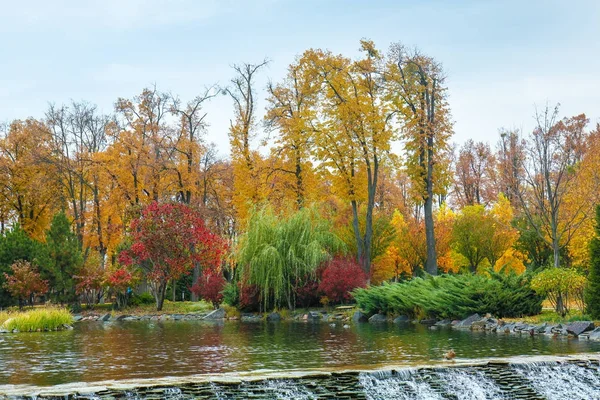 Красивый осенний парк с озером — стоковое фото