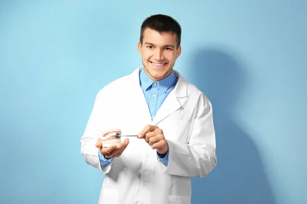 Молодой стоматолог с макетом челюсти на светлом фоне — стоковое фото