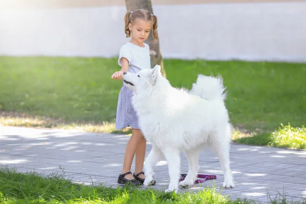 Nettes Kleines Mädchen Trainiert Hund Park — Stockfoto