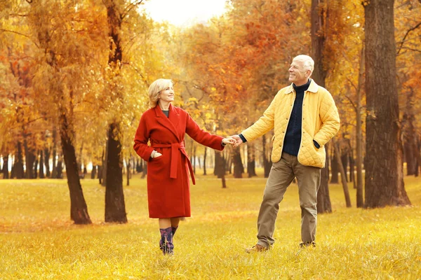 Älteres Paar spaziert in Park — Stockfoto