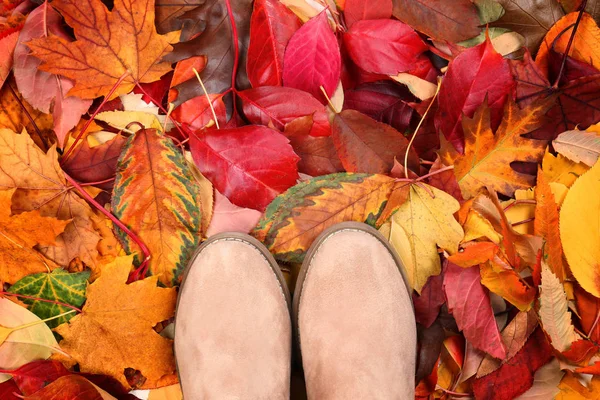 Los pies de la mujer joven de pie sobre las hojas de otoño de color — Foto de Stock