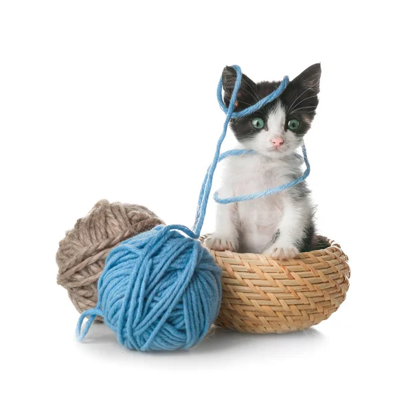 Carino divertente bambino gattino aggrovigliato in lana — Foto Stock
