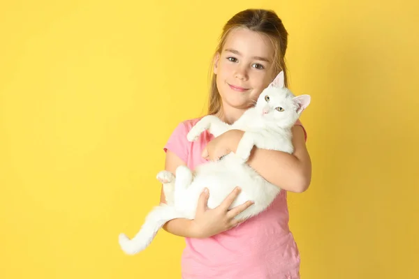 Menina em roupas casuais segurando gato bonito no fundo amarelo — Fotografia de Stock