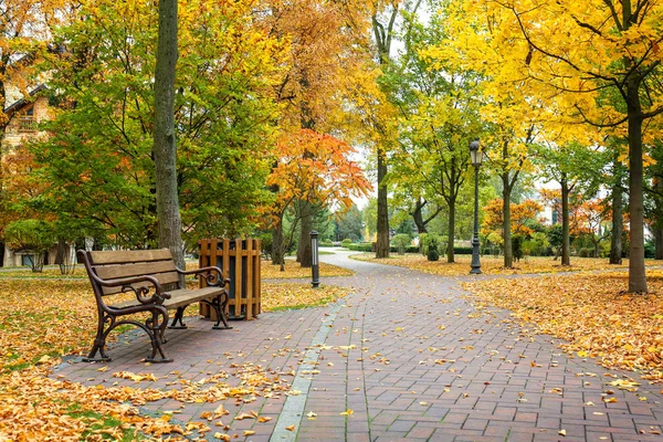 Beautiful alley in autumn park — Stock Photo, Image