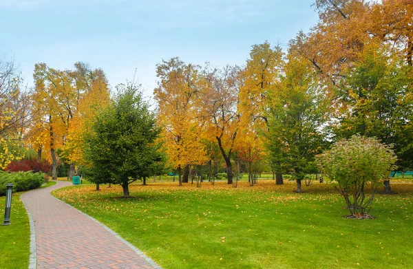 Вид на прекрасний осінній парк — стокове фото