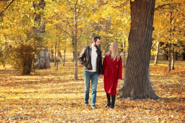Genç bir çift parkta yürüyor. 