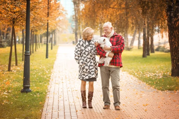 Couple âgé dans le parc — Photo