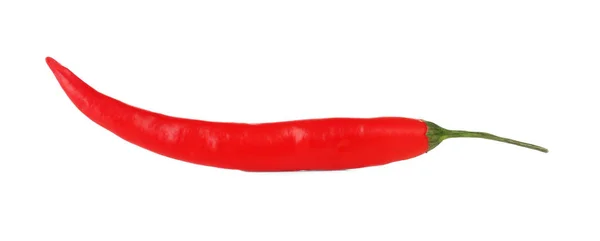 Röd chilipeppar — Stockfoto