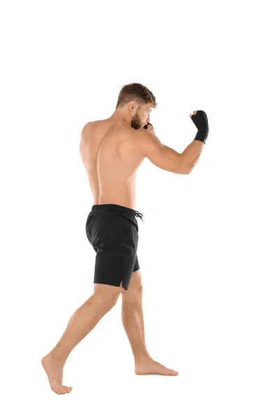 Boxer auf weiß — Stockfoto