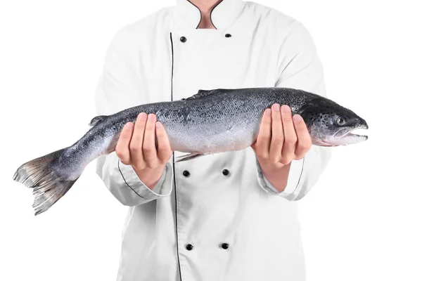 Szef kuchni gospodarstwa świeżego łososia surowego — Zdjęcie stockowe