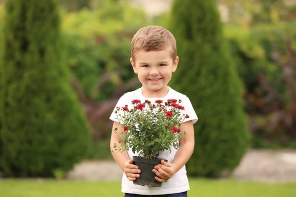 Kleiner Junge hält blühende Pflanze im Garten — Stockfoto