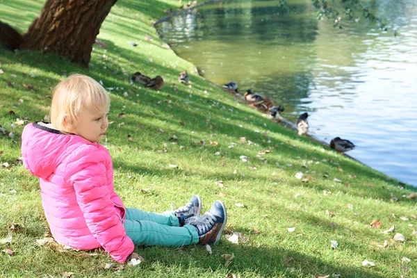 Cute Little Girl Looking Ducks Petting Zoo — Stock Photo, Image