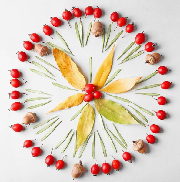 Mooie natuurlijke mandala — Stockfoto