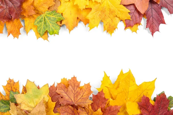 白い背景にカラフルな秋の葉 — ストック写真