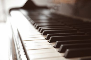 Piyano tuşları, portre