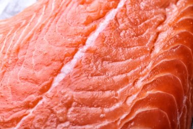 Taze Çiğ somon fileto, portre