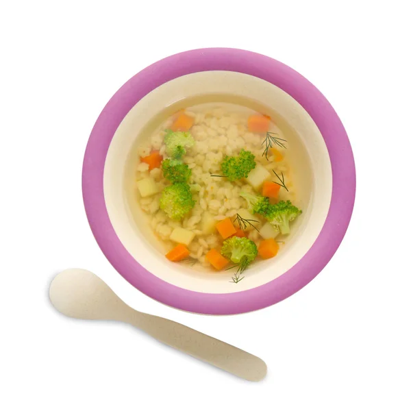 Domácí polévky v misce — Stock fotografie