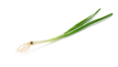 Beyaz arkaplanda yeşil soğan