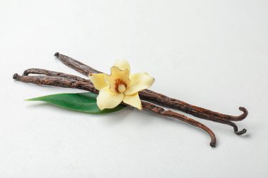 kurutulmuş vanilya pods