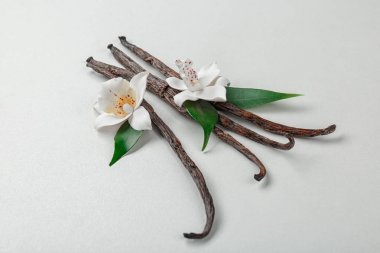 kurutulmuş vanilya pods