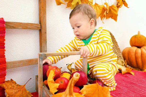 Entzückendes Baby im gestreiften Pyjama und Korb mit Äpfeln drinnen — Stockfoto