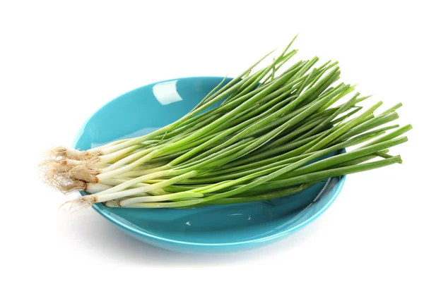 Plate with green onion — Stock Photo, Image