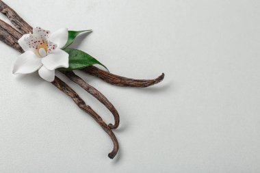 kurutulmuş vanilya pods